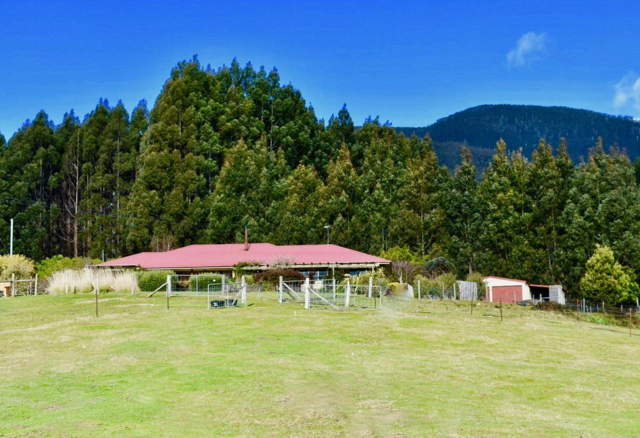 Maydena Mountain Cabins Extérieur photo